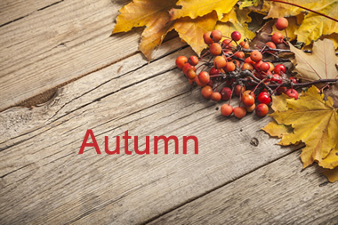Autumn Autumn